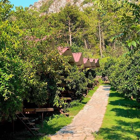 Olympos Camlik Pension Εξωτερικό φωτογραφία