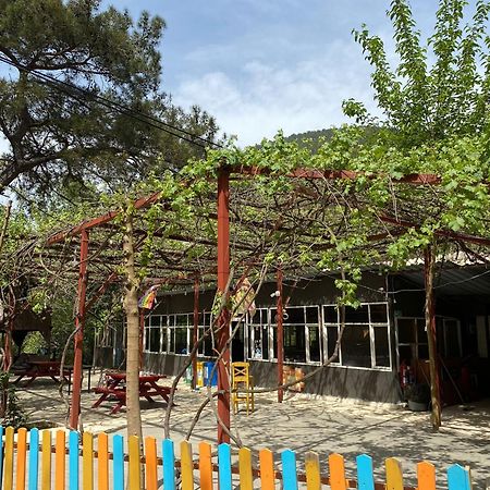 Olympos Camlik Pension Εξωτερικό φωτογραφία