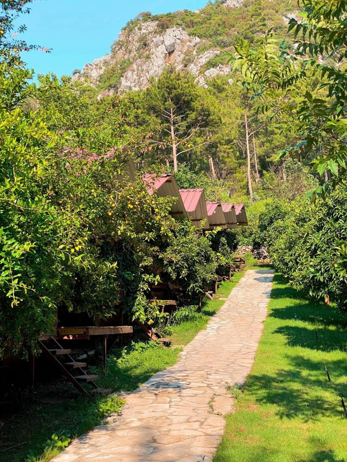 Olympos Camlik Pension Εξωτερικό φωτογραφία