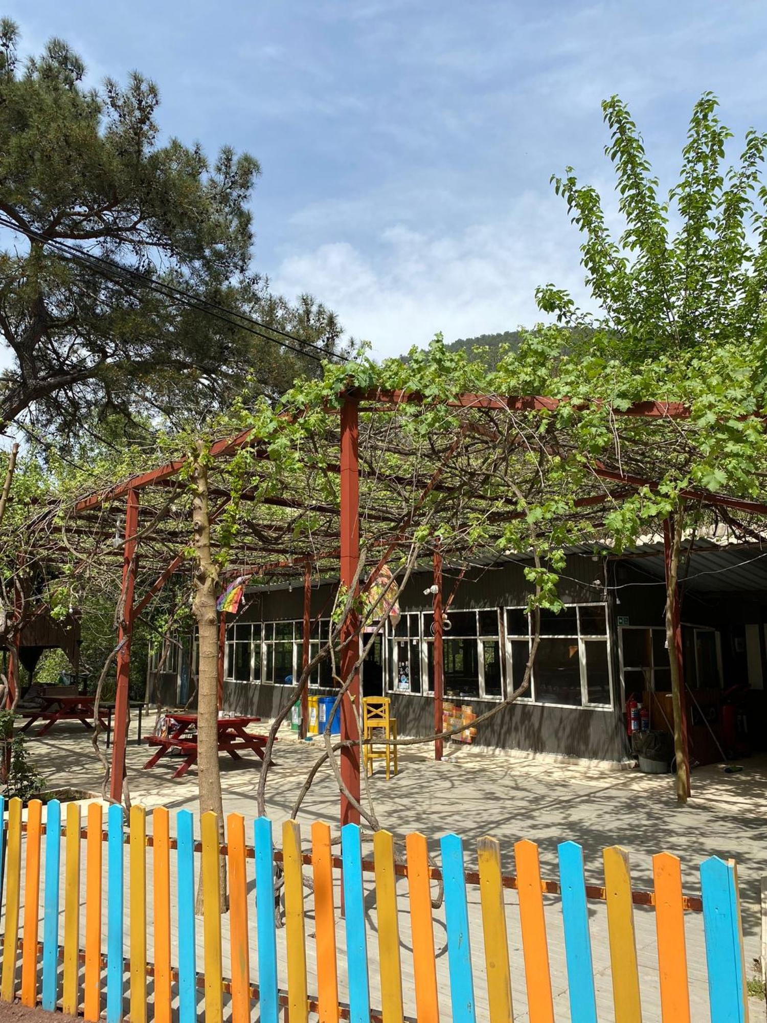 Olympos Camlik Pension Εξωτερικό φωτογραφία