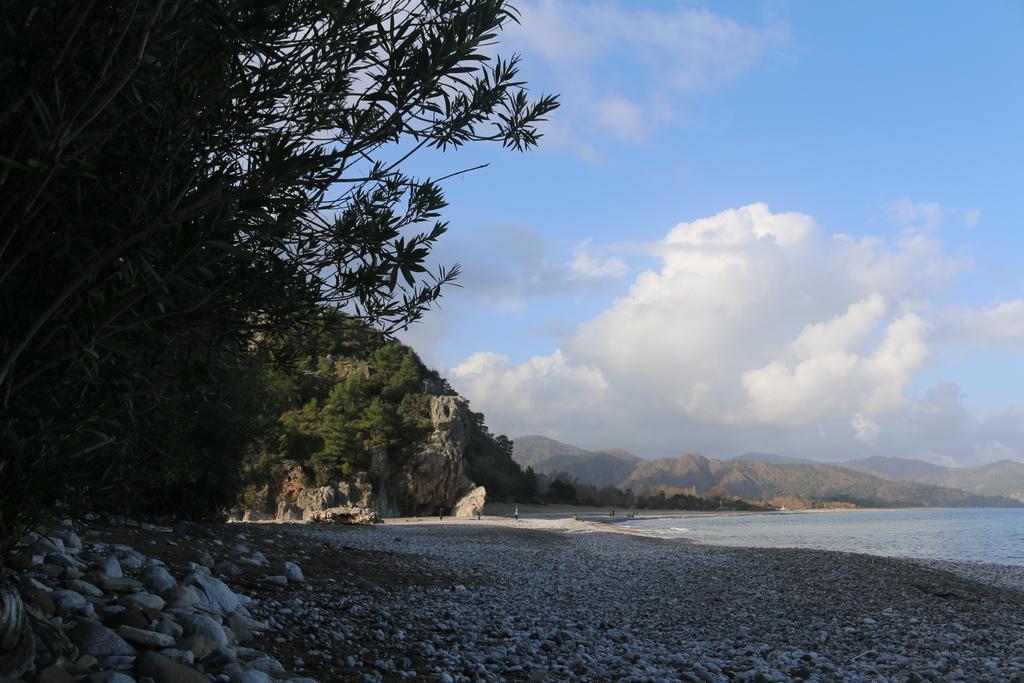 Olympos Camlik Pension Εξωτερικό φωτογραφία