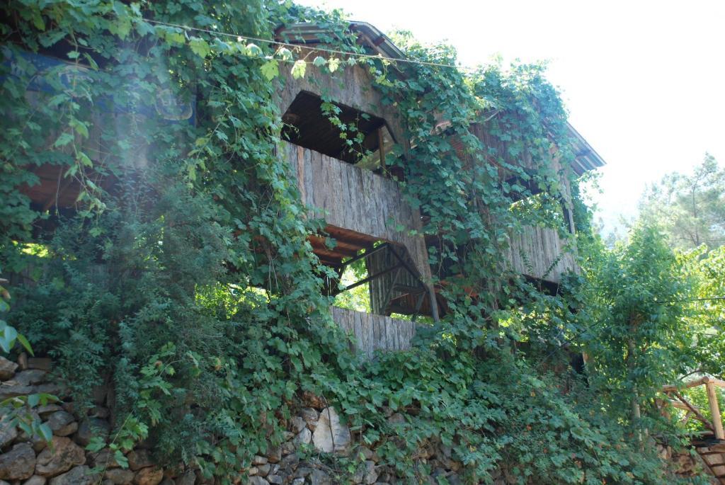 Olympos Camlik Pension Εξωτερικό φωτογραφία