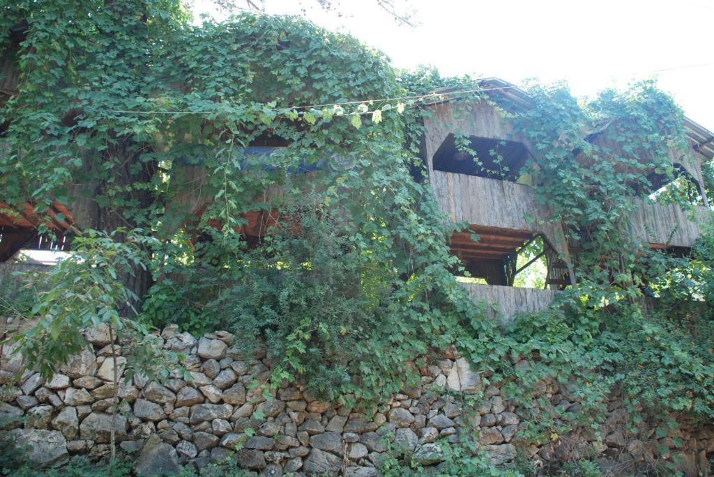 Olympos Camlik Pension Εξωτερικό φωτογραφία
